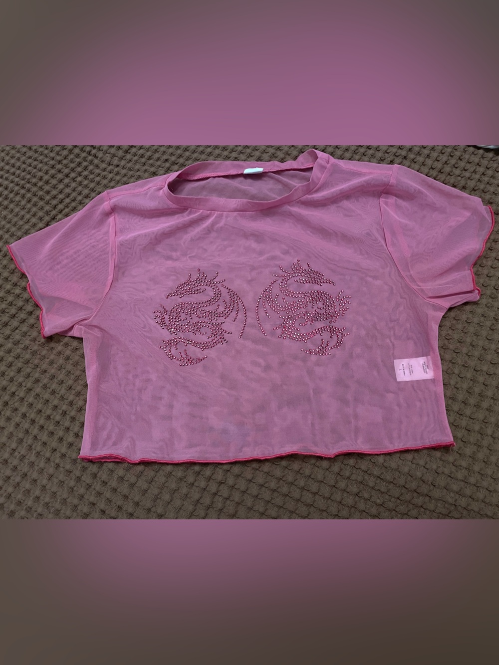 Pink Sheer Mesh Top with Rhinestone Dragon Motif